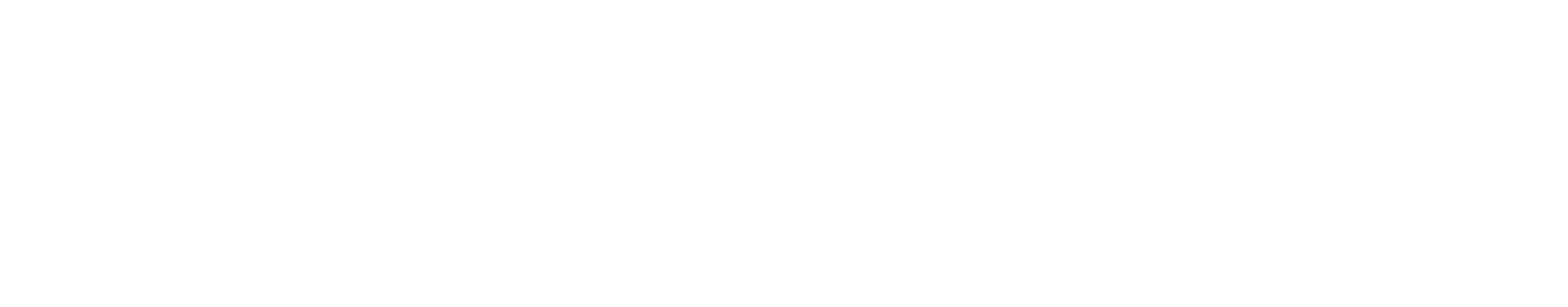 Webseite Logo invertiert